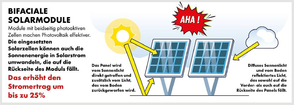 Schwaiger Solaranlage 2er Set bifazial Full Black 1000Wp zollfrei