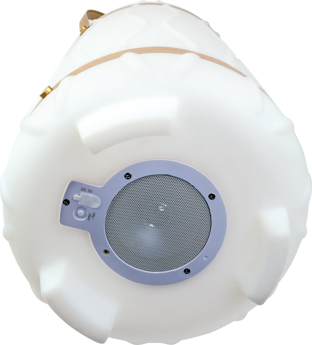 Schwaiger Getränke-/Sektkühler mit Lautsprecher 9 l Flash Sale