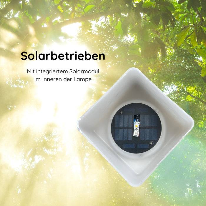 Schwaiger Solar-Tischleuchte mit Trageriemen Kostenloser Versand international