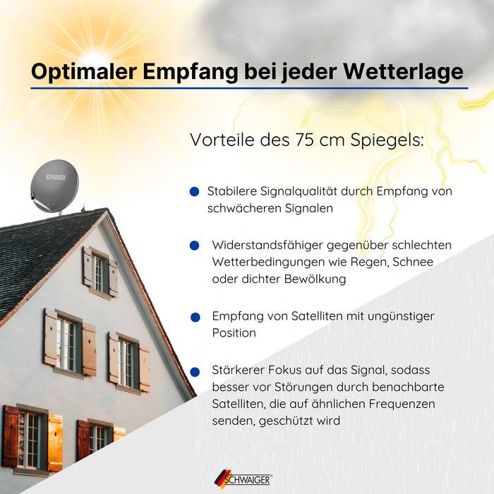 Schwaiger Satellitenanlage Set Anthrazit Stahl 75 cm Begrenztes Angebot