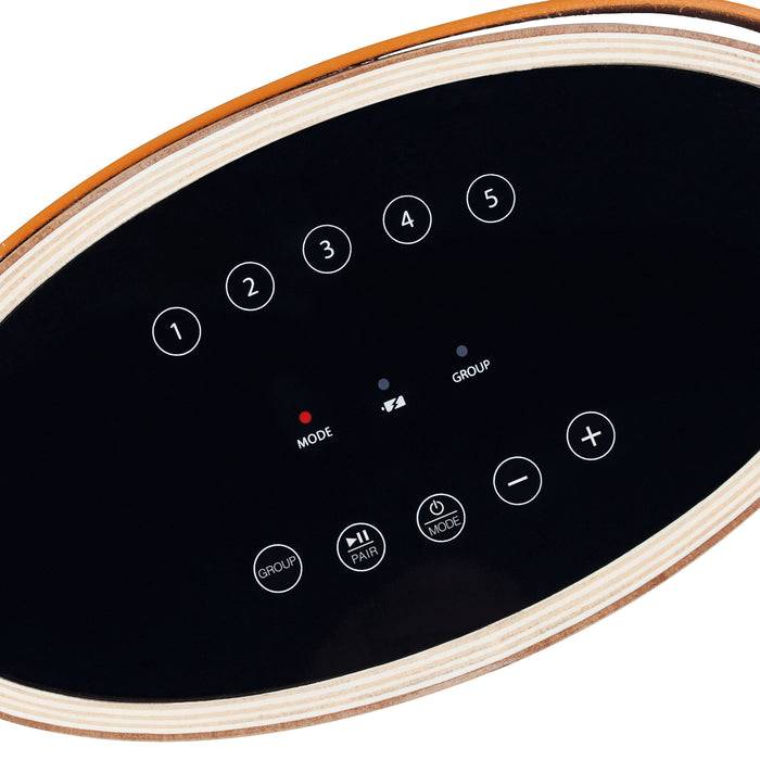 Schwaiger TIBO WiFi Lautsprecher (30 W) Flash Sale