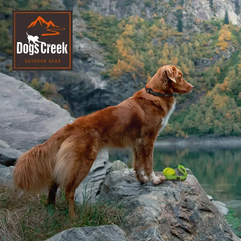 fressnapf Dogs Creek Norwegergeschirr Control schwarz S Discount Store für neue Produkte