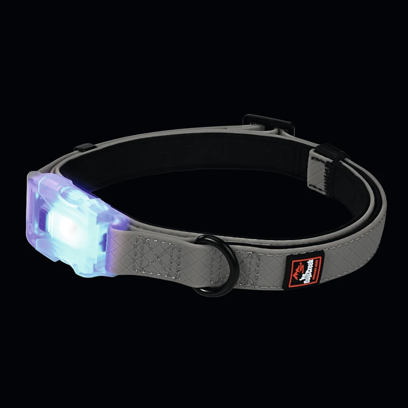 fressnapf Dogs Creek Leuchthalsband Polar Light S Im Verkauf