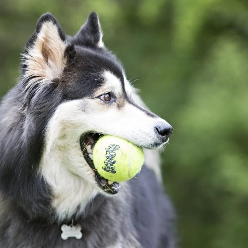 fressnapf KONG Squeakair Tennisball XS Sonderangebote