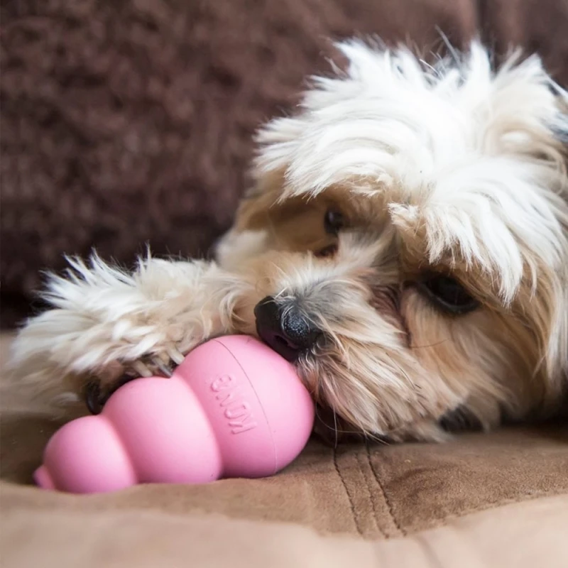 fressnapf KONG Welpenspielzeug Puppy S Super Sparpreis