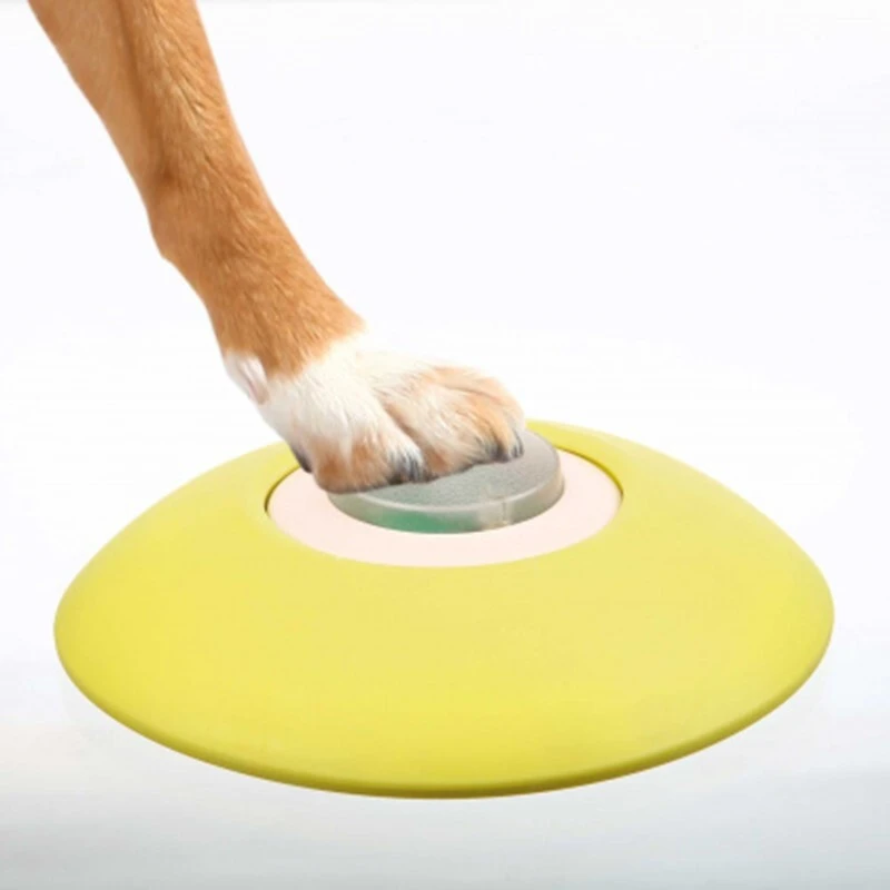 fressnapf Trixie Dog Activity Memory Trainer 3.0 Letzter Tag
