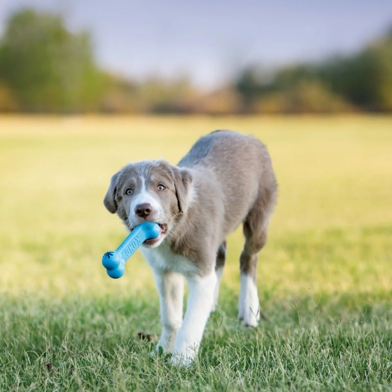 fressnapf KONG Goodie Bone Puppy Bis zu 60% Rabatt