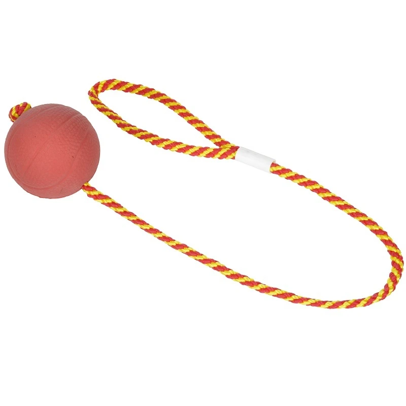 fressnapf FIT+FUN Ball am Seil