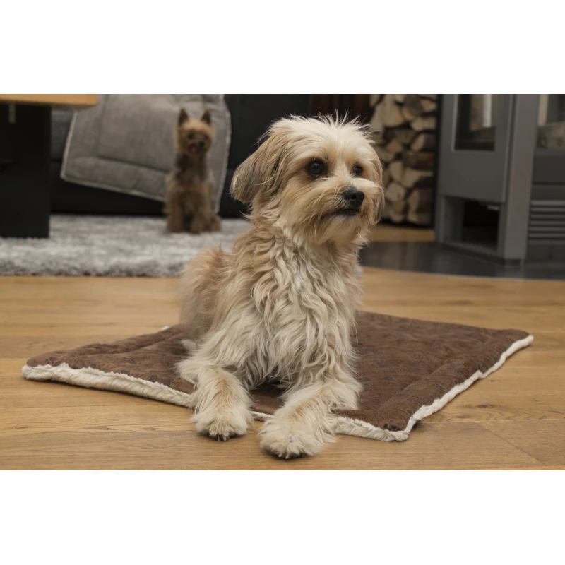 fressnapf TrendPet Relax Kuscheldecke braun XS 50% Rabatt mit kostenlosem Versand