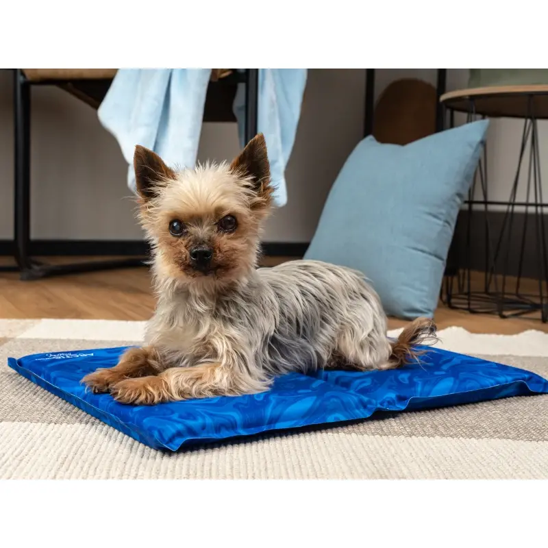 fressnapf TrendPet Arctic Comfort 20 mm premium Kühlmatte blau XS Fabrikladen