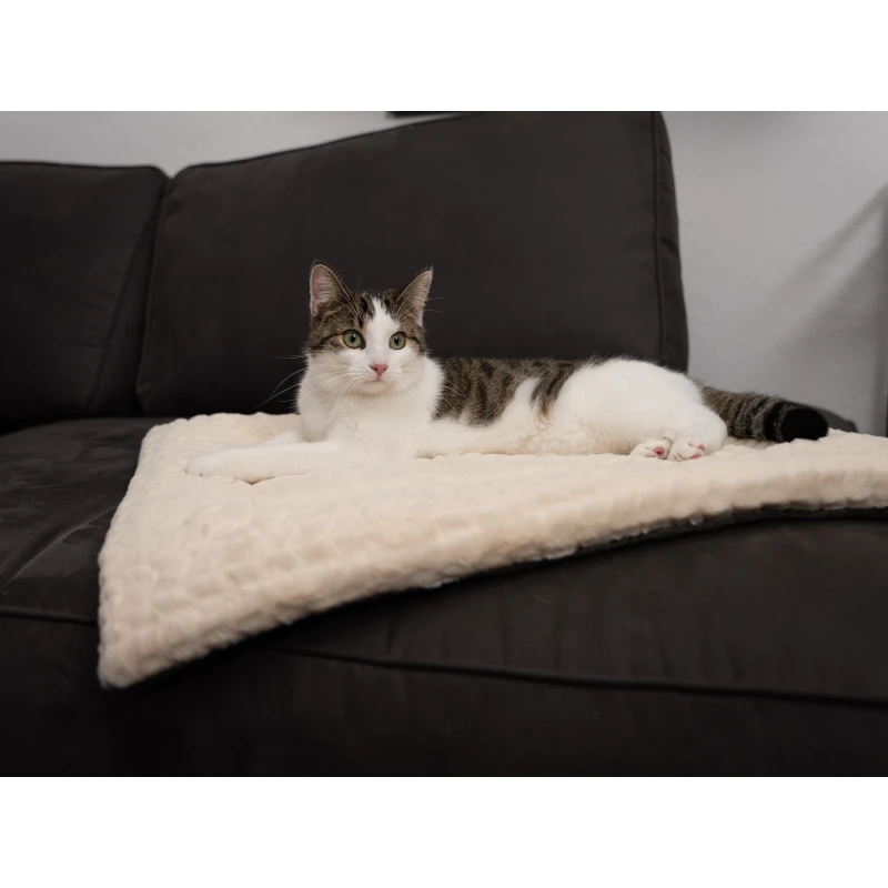 fressnapf TrendPet Heaven gefütterte Liegedecke beige XS Speichern exportieren