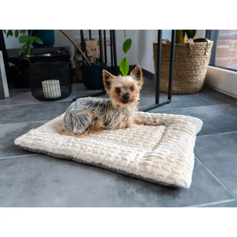 fressnapf TrendPet Heaven gefütterte Liegedecke beige XS Speichern exportieren