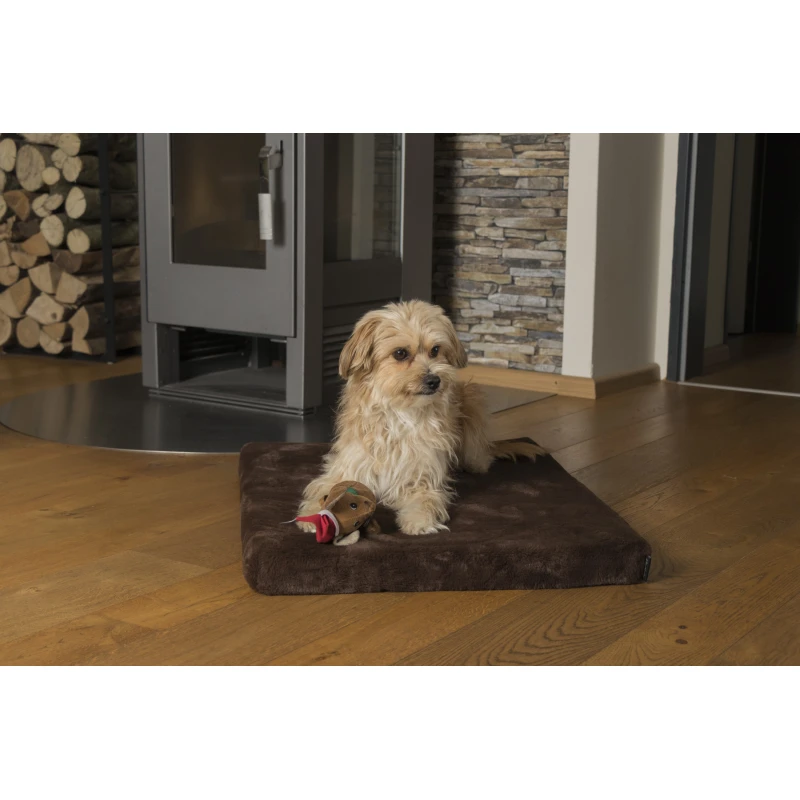 fressnapf TrendPet VitaMedog orthopädische 5 cm Matratze braun XS Im Verkauf