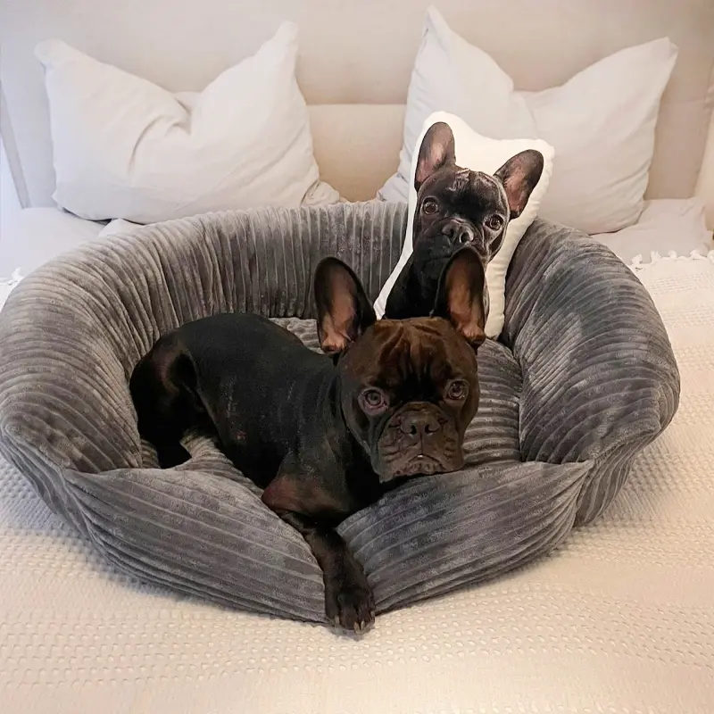 fressnapf Wallace & Jones Hundebett Cordo dunkelgrau S Angebote