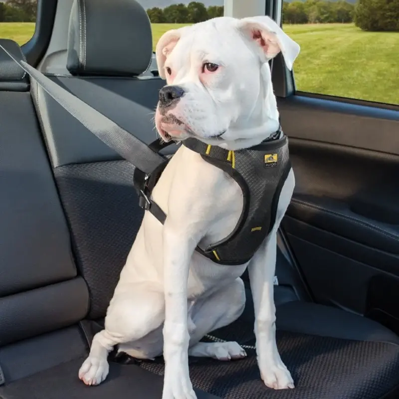 fressnapf Kurgo Autogeschirr Impact Seatbelt S Cyber Monday