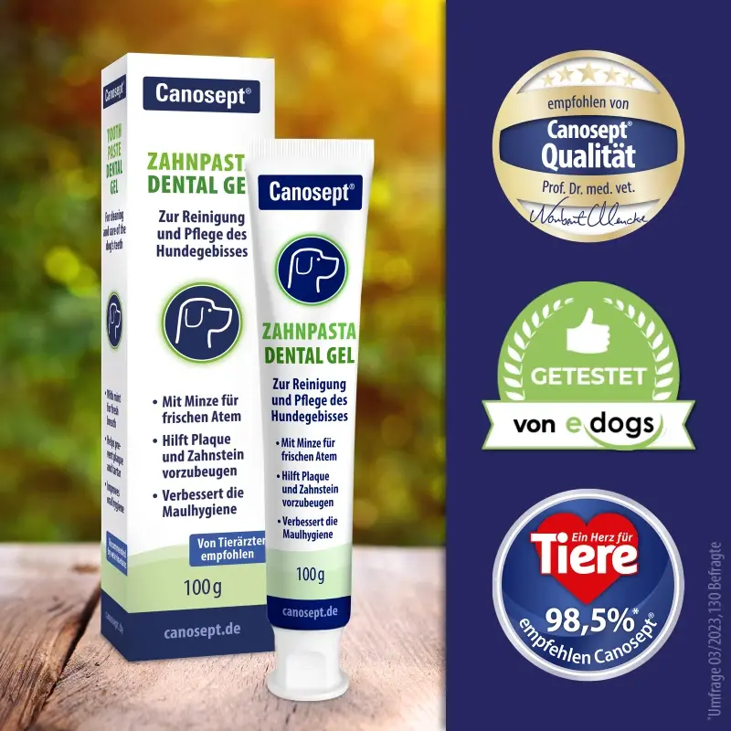 fressnapf Canosept Zahnpflege Dental Gel 100g Neueste Stile