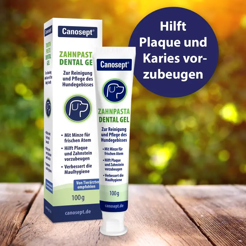 fressnapf Canosept Zahnpflege Dental Gel 100g Neueste Stile