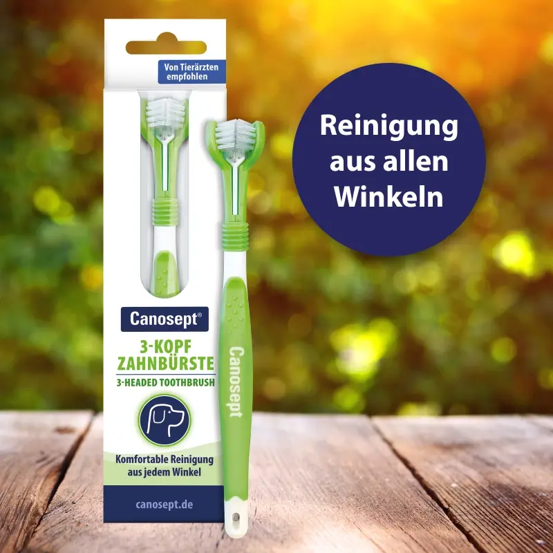fressnapf Canosept 3-Kopf-Zahnbürste Letzte 2 Tage