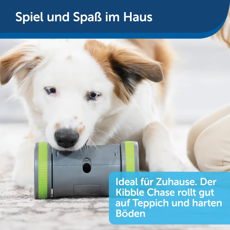 fressnapf PetSafe Selbstbewegendes Belohnungsspielzeug Kibble Chase Bis zu 55% Rabatt