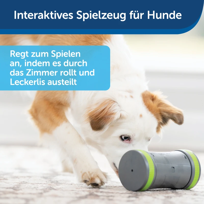 fressnapf PetSafe Selbstbewegendes Belohnungsspielzeug Kibble Chase Bis zu 55% Rabatt