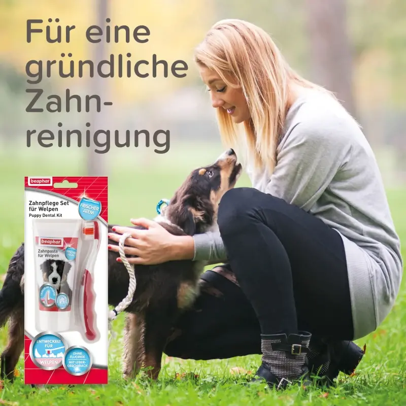 fressnapf Beaphar Zahnpflege Set für Welpen Black Friday Preise