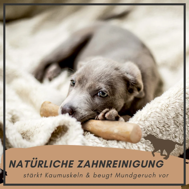 fressnapf Supravit Kaffeeholz - natürliches Kauspielzeug zollfrei