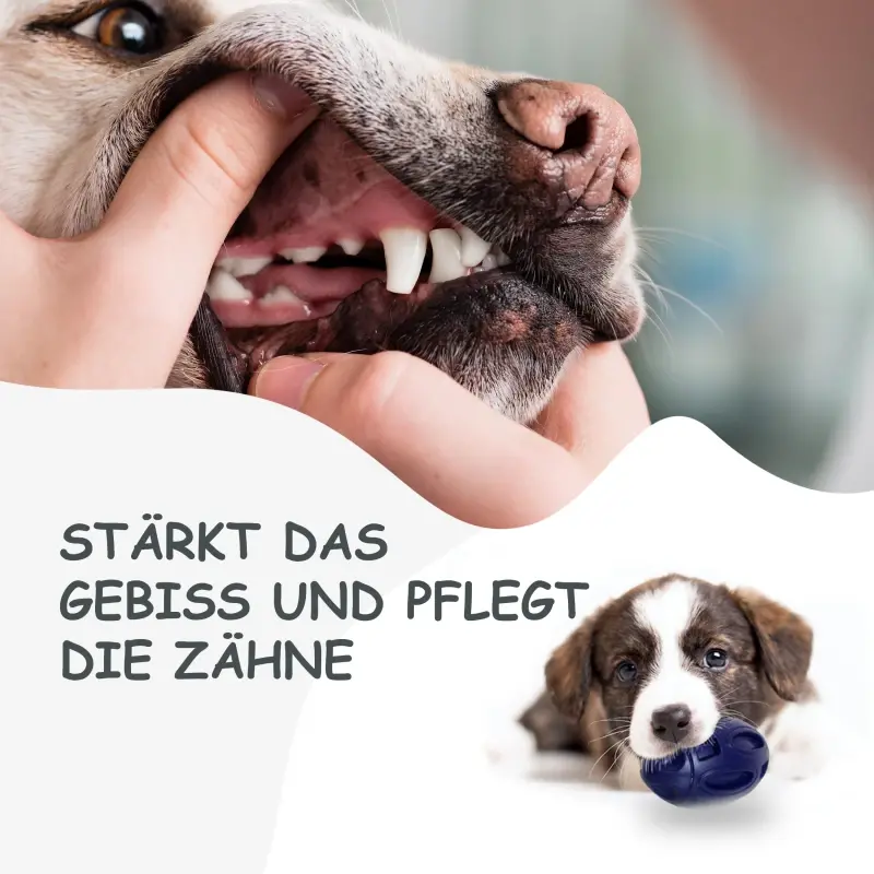 fressnapf Petsation Kauspielzeug Ball blau 2025
