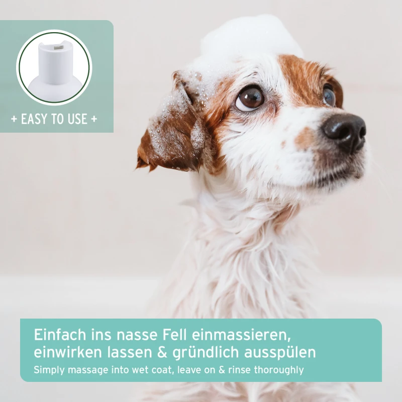 fressnapf AniForte Welpen Shampoo Aloe Vera 200ml Hotsell