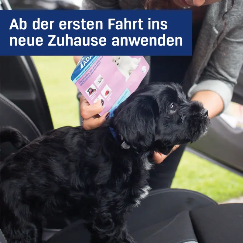 fressnapf ADAPTIL Junior Halsband Anti Stress Erziehungshalsband Zeitlich begrenztes Angebot