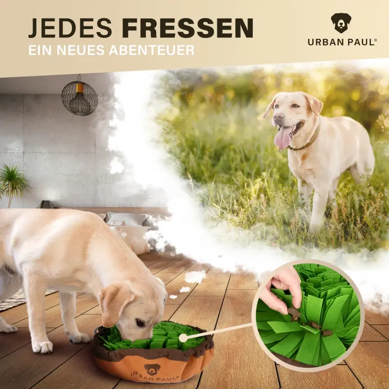 fressnapf URBAN PAUL Schnüffelteppich - grün Neuheiten