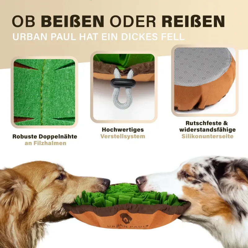 fressnapf URBAN PAUL Schnüffelteppich - grün Neuheiten