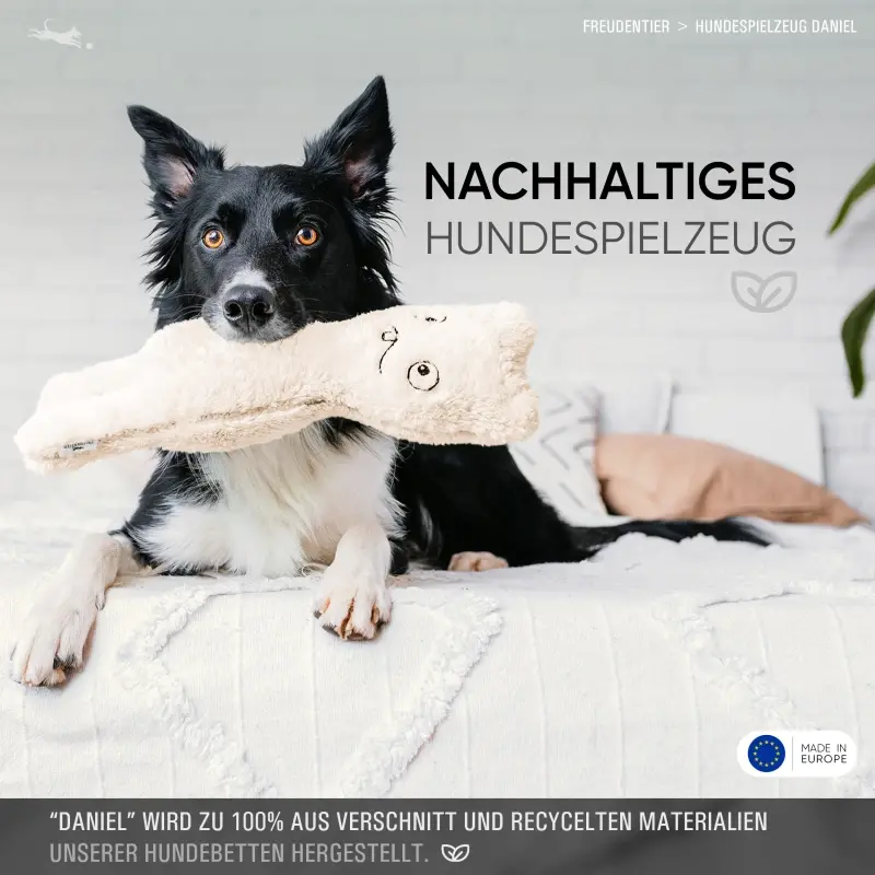 fressnapf Freudentier nachhaltiges Hundespielzeug Daniel Saisonale Angebote