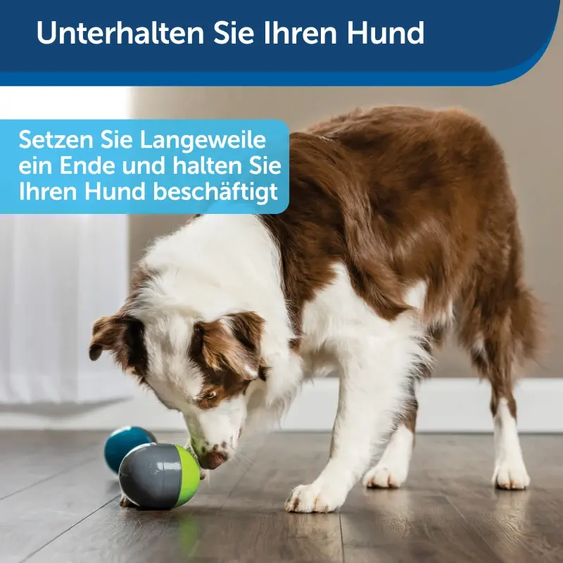 fressnapf PetSafe Elektronisches Hundespielzeug Ricochet Sonderangebote