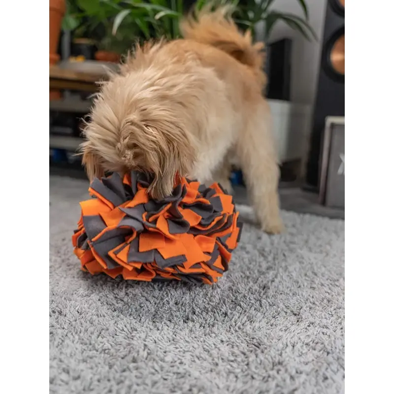 fressnapf TrendPet Schnüffelball orange VIP-Rabatte