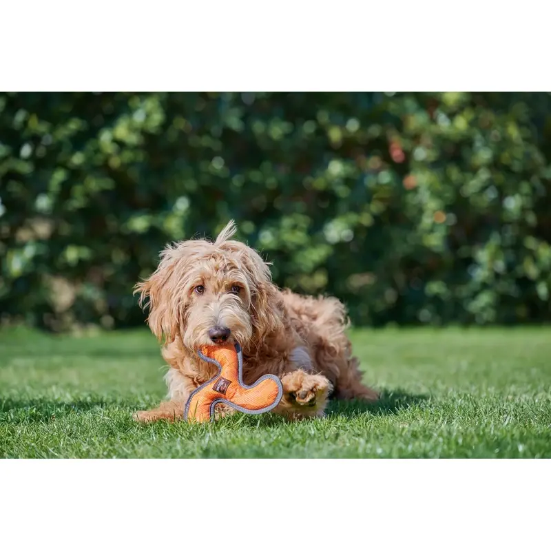fressnapf Dogs Creek Boomerang Hyper Kostenlose Rückgabe