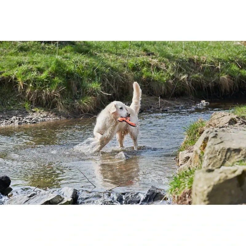 fressnapf Dogs Creek Boomerang Hyper Kostenlose Rückgabe