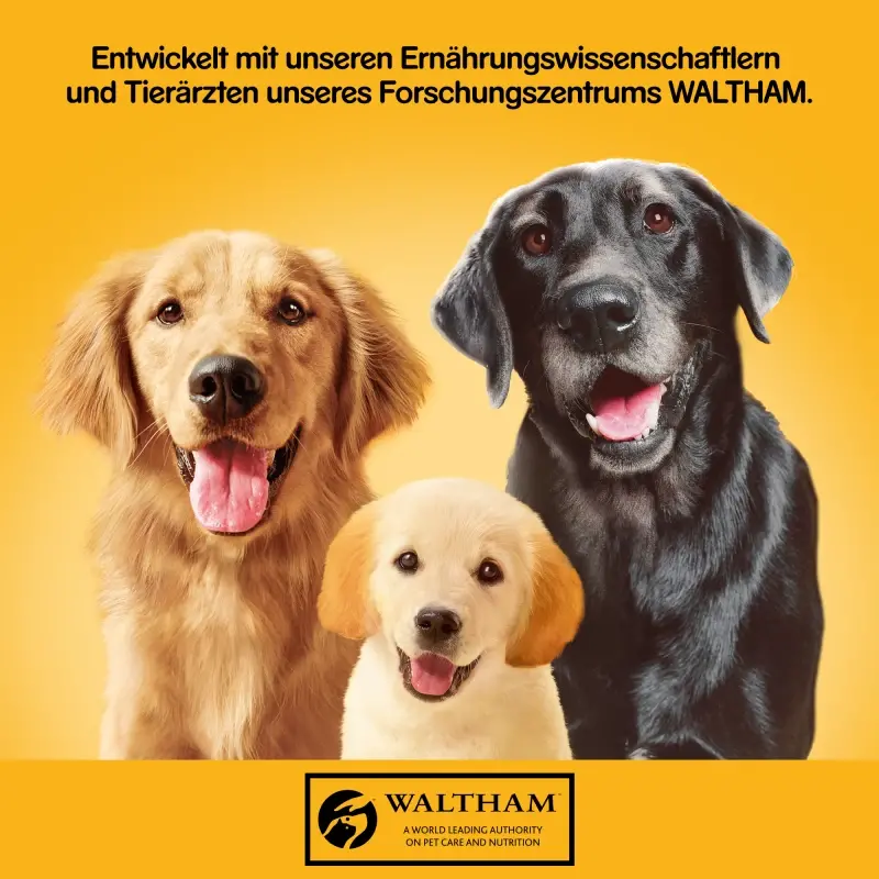 fressnapf Pedigree Classic 12x800 g 3 Sorten Geflügel Meist gekauft