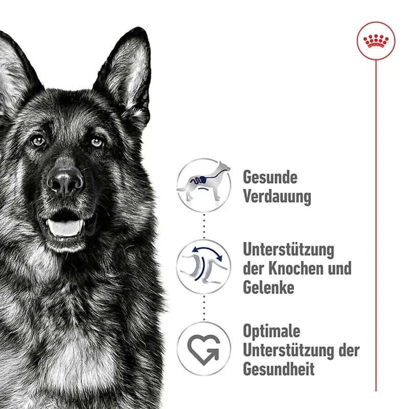 fressnapf ROYAL CANIN Maxi Adult 15 kg Rabatt