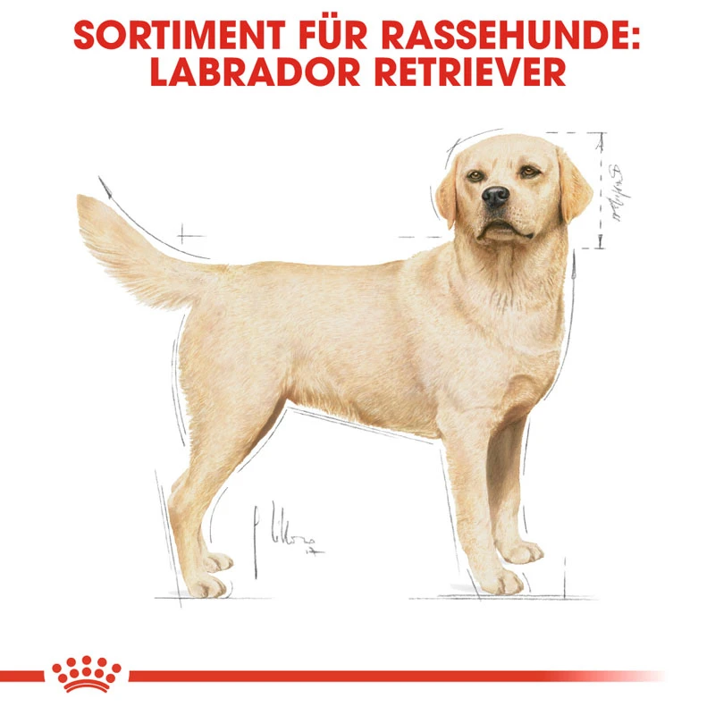 fressnapf ROYAL CANIN Labrador Retriever Adult 3 kg Valentinstagsangebot