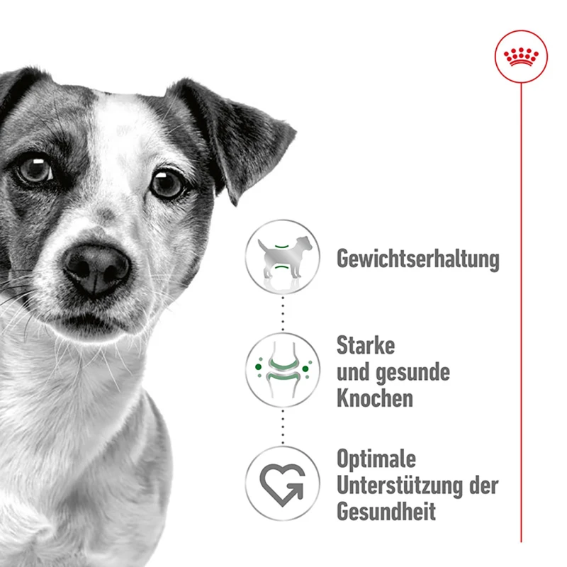 fressnapf ROYAL CANIN Mini Adult 2 kg Lagerräumung