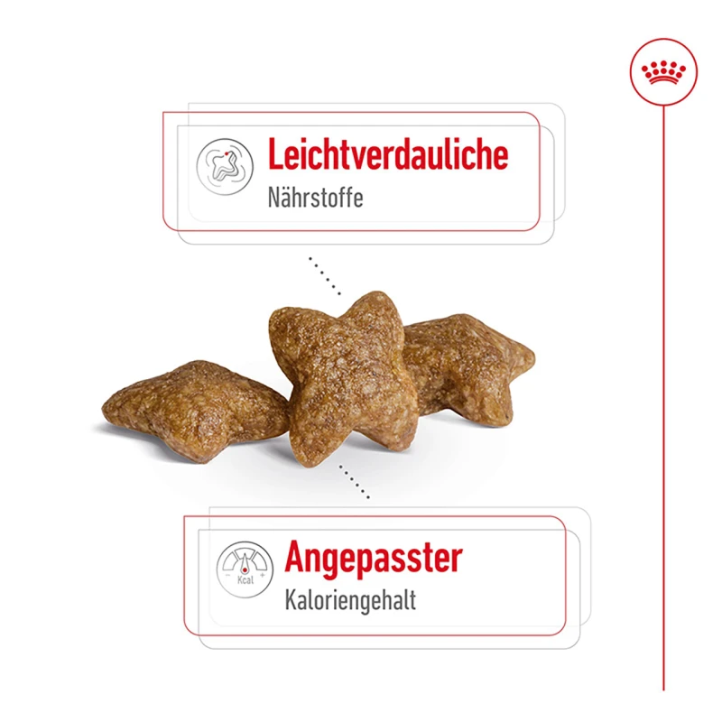 fressnapf ROYAL CANIN Mini Adult 2 kg Lagerräumung