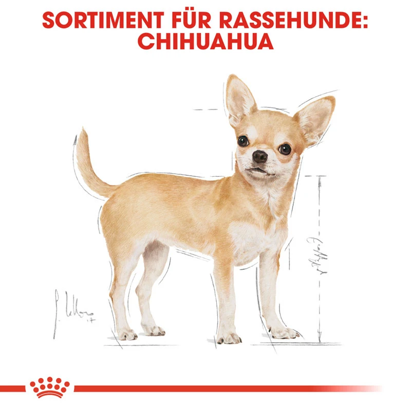 fressnapf ROYAL CANIN Chihuahua Adult 1 5 kg Räumungsverkauf