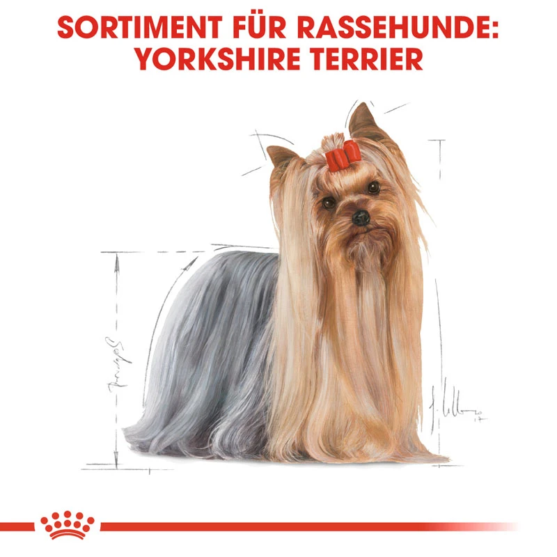 fressnapf ROYAL CANIN Yorkshire Terrier Adult 1 5 kg Kauf eins, bekomm eins gratis
