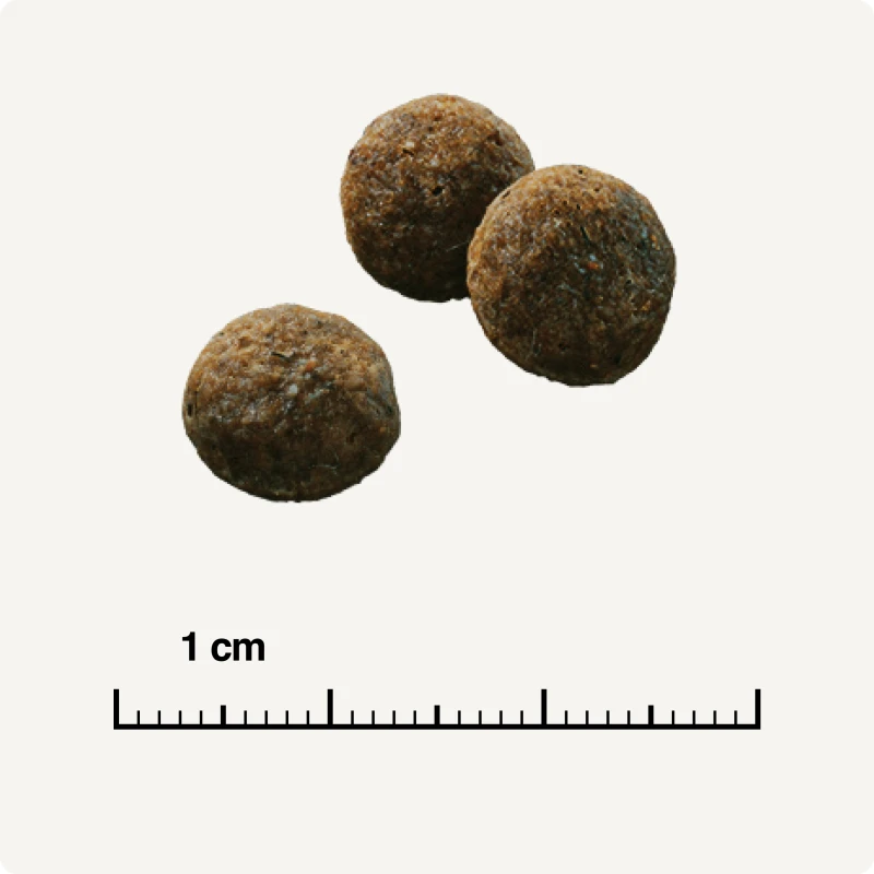 fressnapf SELECT GOLD Sensitive Mini Adult Lamm & Reis 1 kg Tiefpreis