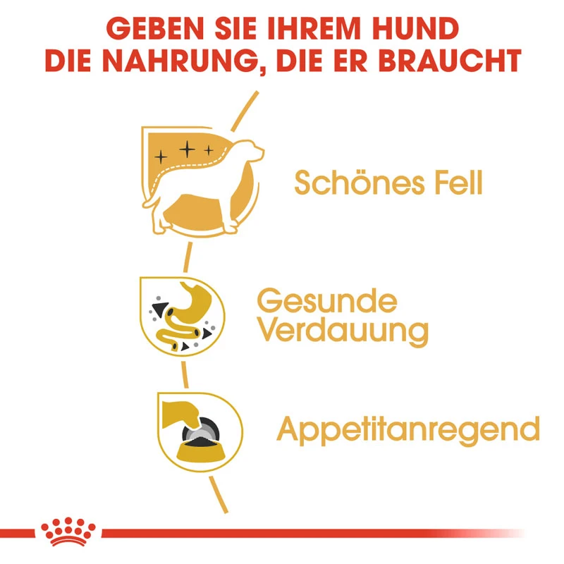 fressnapf ROYAL CANIN Chihuahua Adult Mousse 12x85 g Wochenangebot