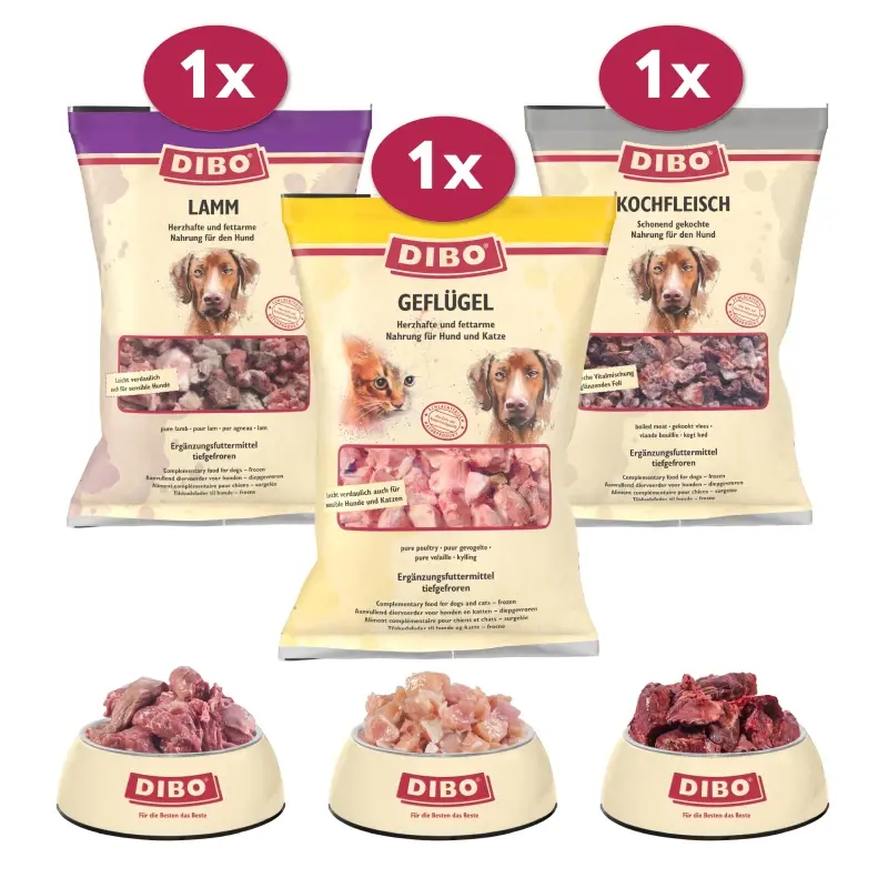 fressnapf DIBO Frostfutter Alles ohne Rind Bundle