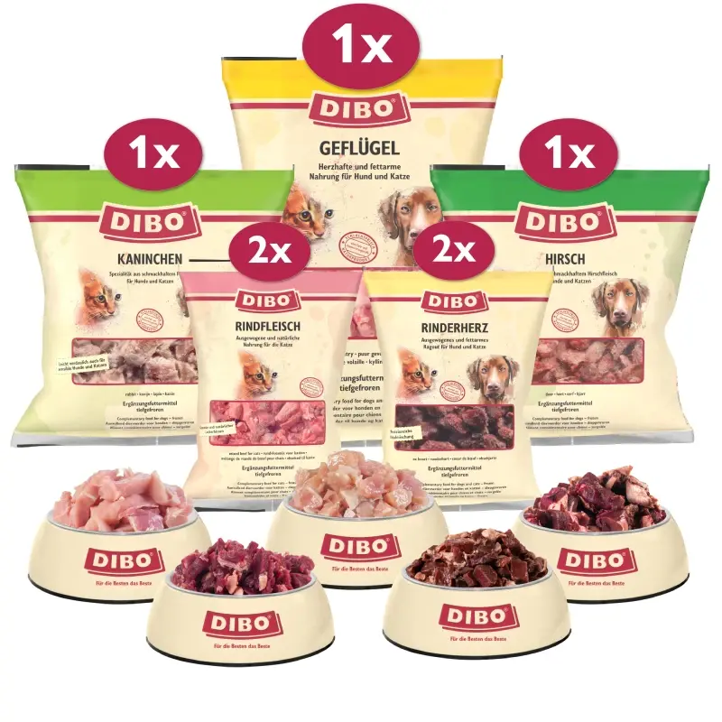 fressnapf DIBO Frostfutter Alles für die Katze Bundle