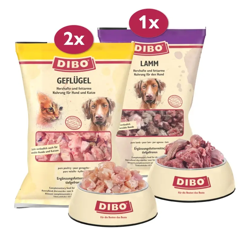 fressnapf DIBO Frostfutter Geflügel & Lamm Bundle Neuheiten