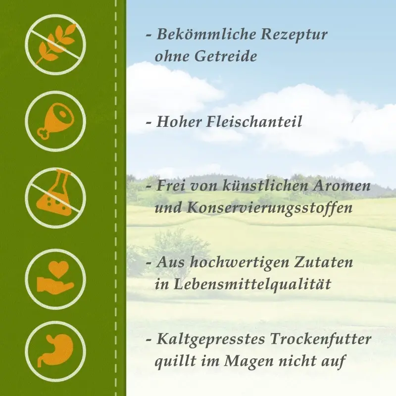 fressnapf Bellfor Diät-Futterset mit kaltgepresstem Trockenfutter für große Hunderassen 4 220 g Bis zu 50% Rabatt