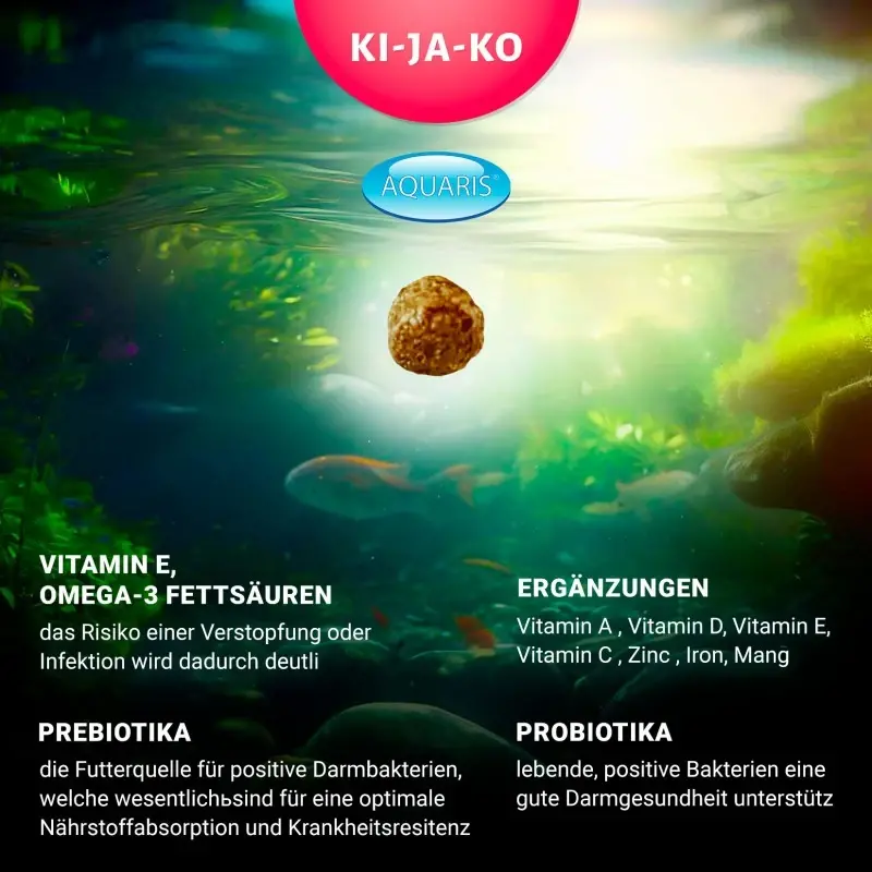 fressnapf Bellfor Diät-Futterset mit kaltgepresstem Trockenfutter für große Hunderassen 4 220 g Bis zu 50% Rabatt